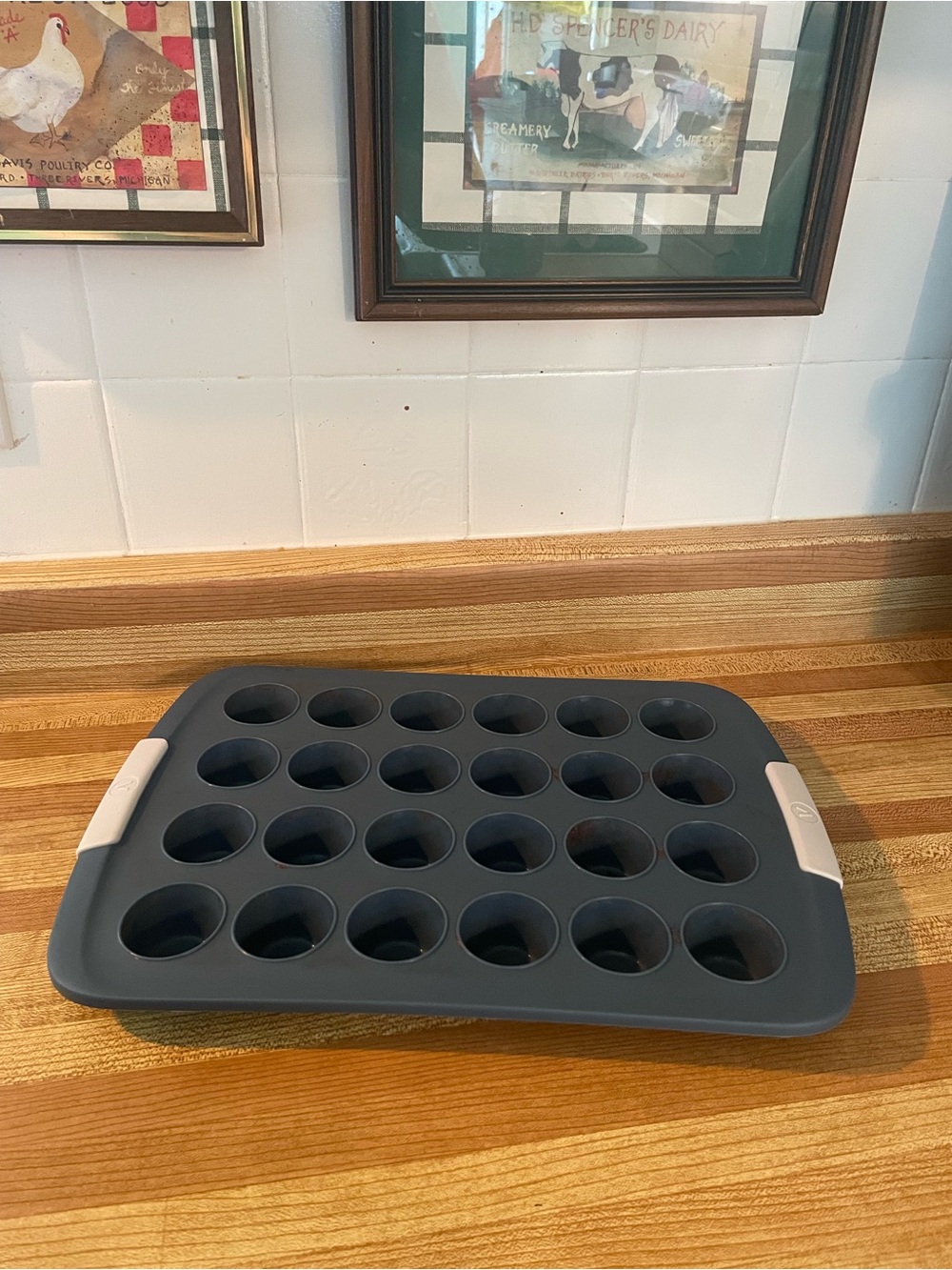 Silicone 24-Cavity Mini Muffin Pan  Gray